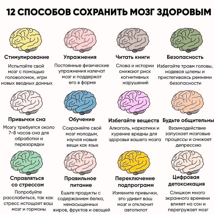 мозг